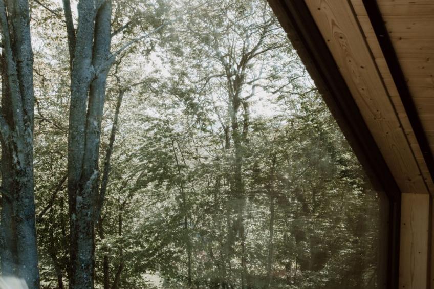 (IV) Cabin Cozy 4er - foto 10