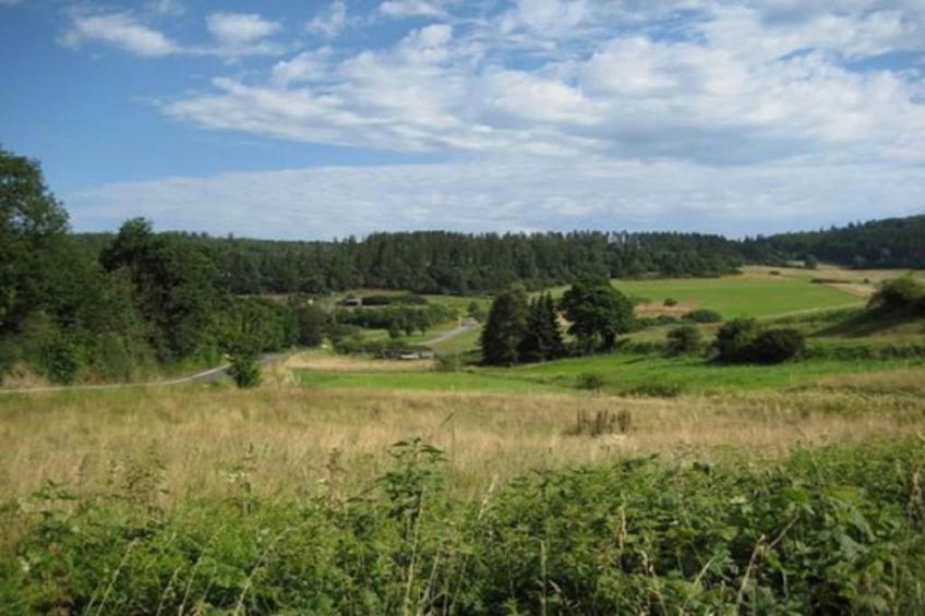 Am Sternberg - foto 33