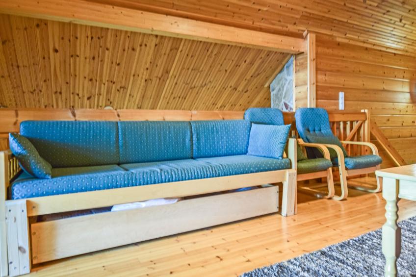 Linnunlaulu - foto 13