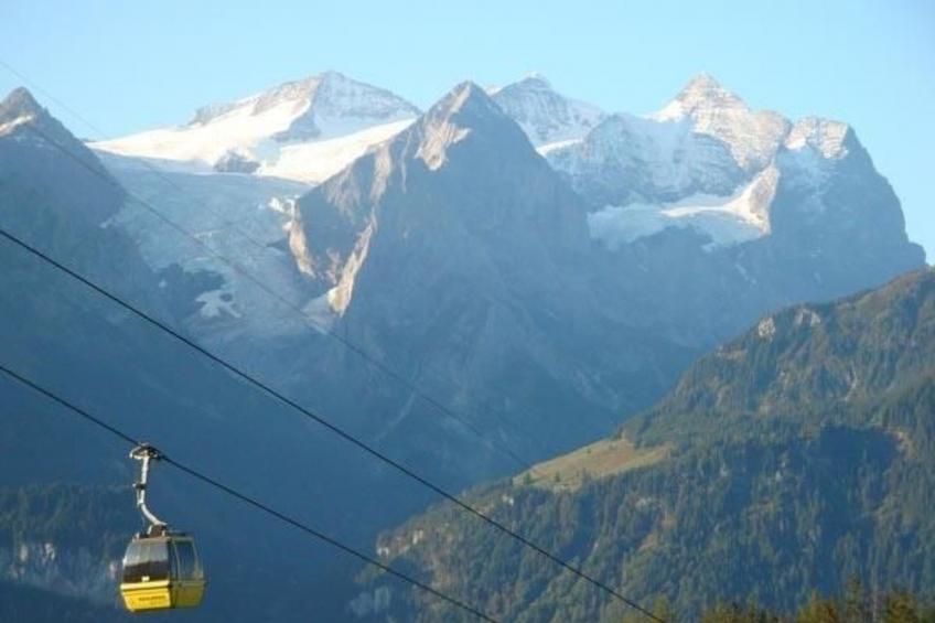 Anneliese Schaad Studio - foto 8