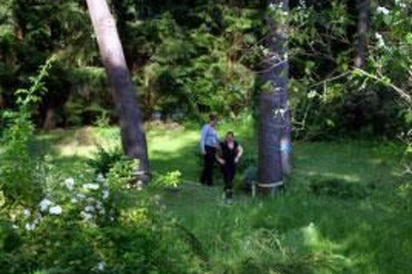 Waldblick - foto 23
