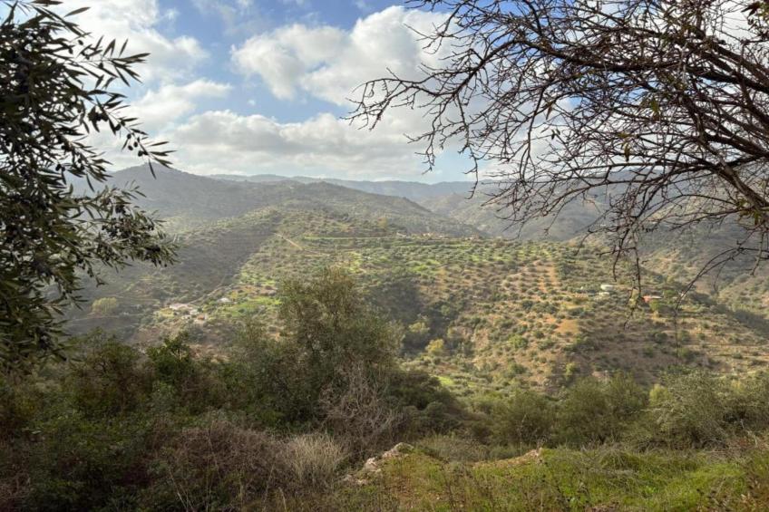 Casa Rocas - foto 39