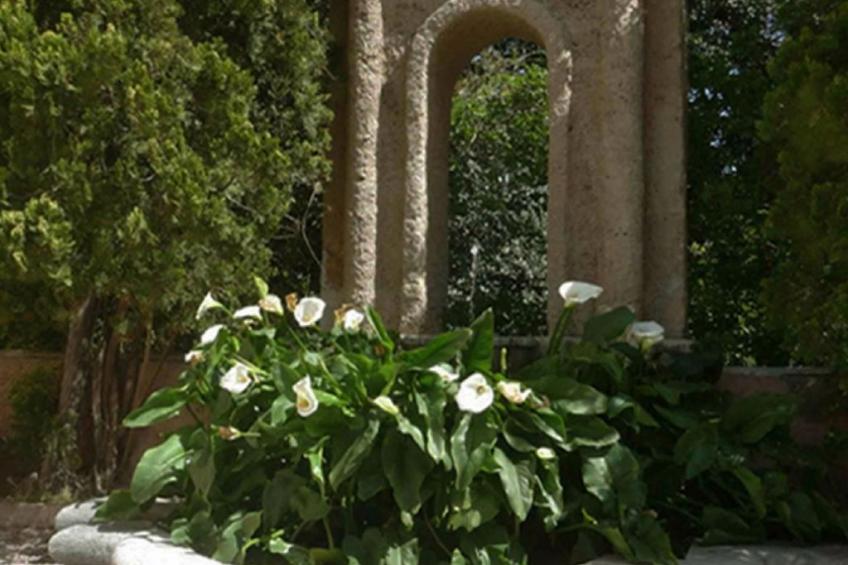 'Suite Ficodindia - foto 7