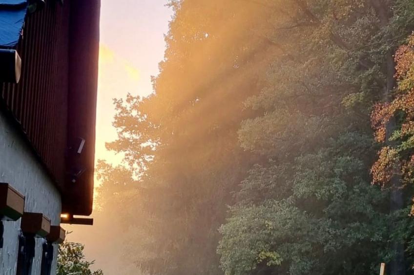 Jägerhaus - foto 54