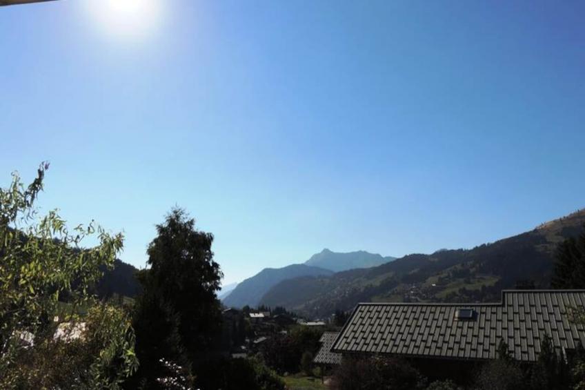 Chalet Les Sauvageons - foto 9