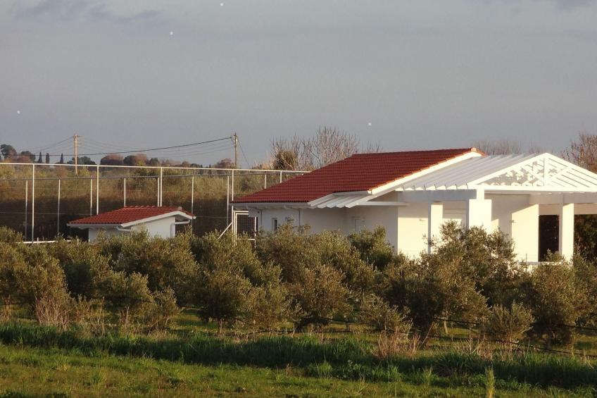 White Villas PPV - foto 16