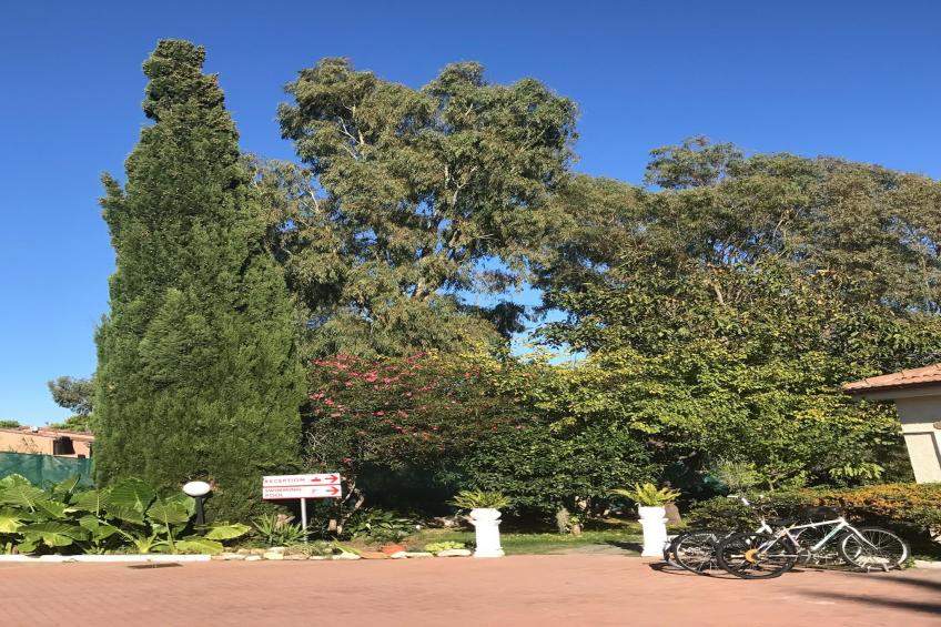 Appartamento 1 al piano 1 - foto 8