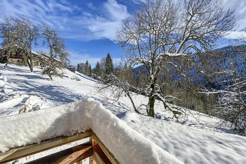 Chalets à Les Gets - foto 49