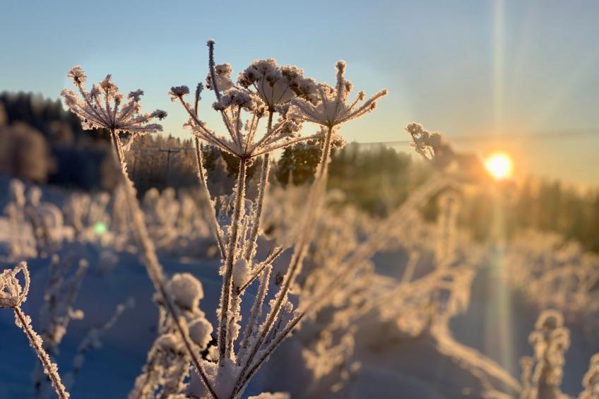 Ferienvilla mit Whirlpool - foto 17