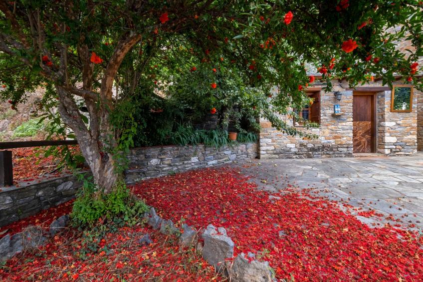 Villa Palios Stathmos - foto 7