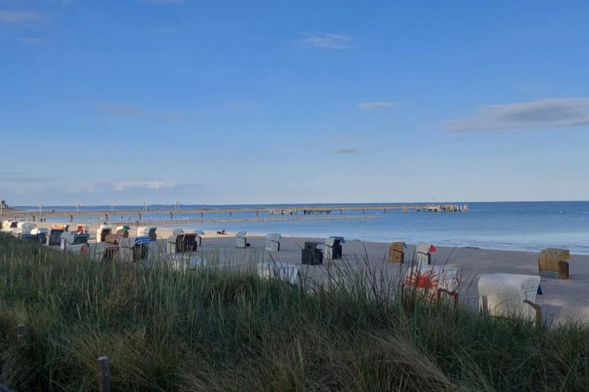 Nr4 Müritzsee 3 Personen - foto 48