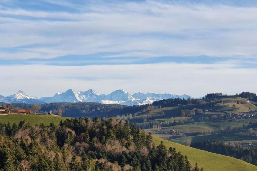 in einem heimeligen Berner-Stöckli - foto 23