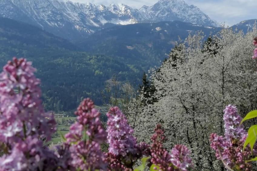 Waldpension Ranner - foto 19