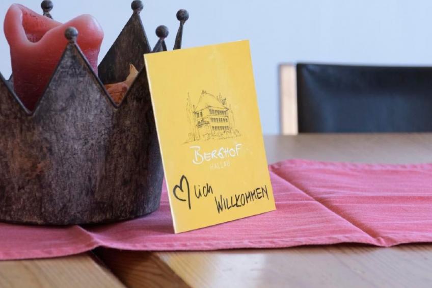 Berghof Hallau grosse Ferienwohnung - foto 6