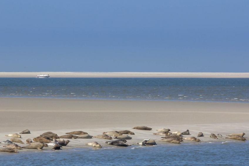 Tinis Huus ant Siel - foto 30