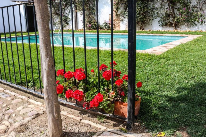 Ländliches Haus "El Pozo" mit Terrasse - foto 26