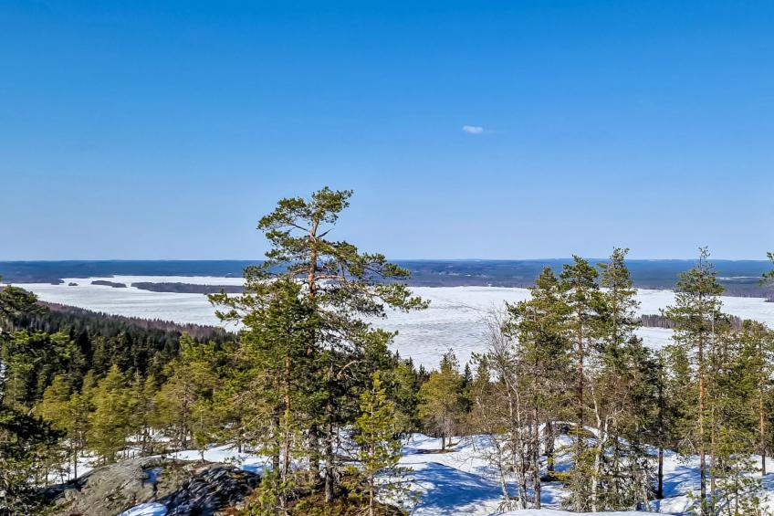 Villa savonia - foto 19