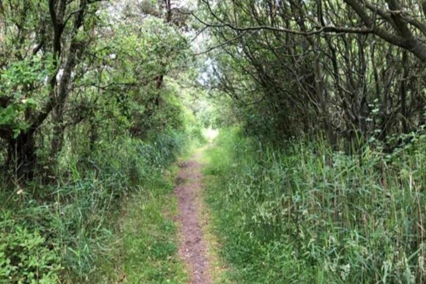 Duindroom op Terschelling - foto 33