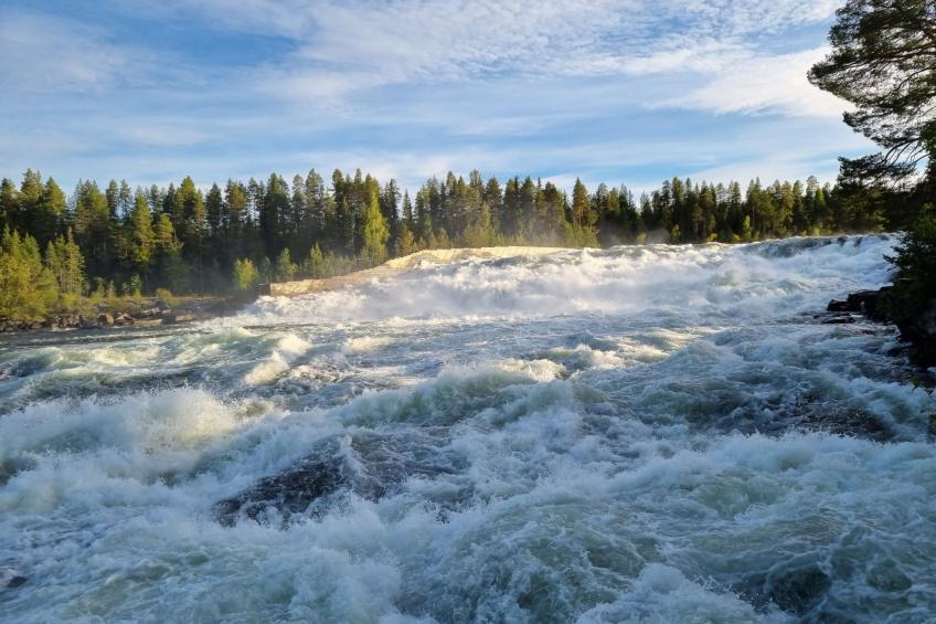 Villa Edda - foto 36