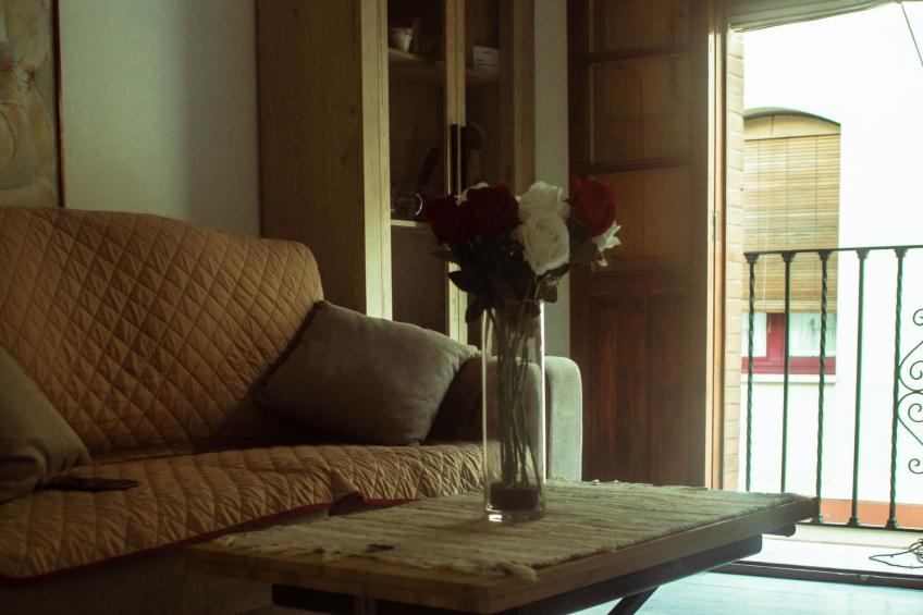 Touristische Wohnung "Apt. mit Balkonen". - foto 8