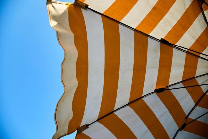 La Lavanda - foto 34