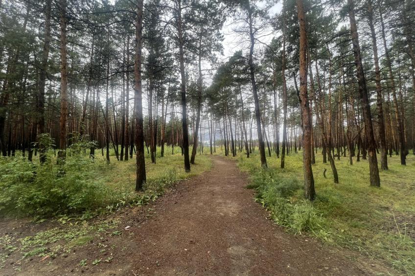 Waldruhe Combi - foto 4
