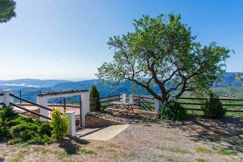 Paraje Starlight Murtas - Alpujarra - foto 33