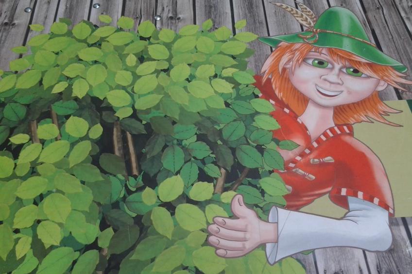 Urlaub in der Natur! - foto 38