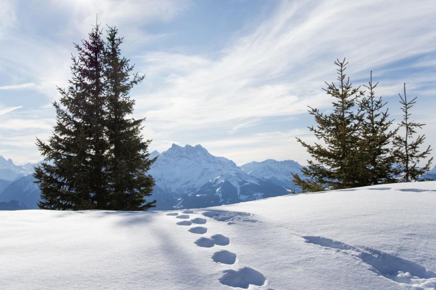 Les Rochers Blancs - foto 40