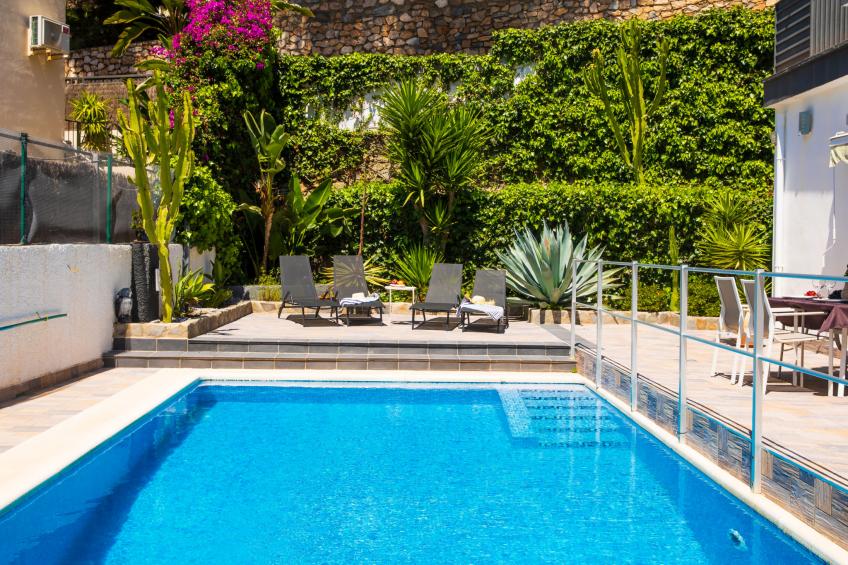 Bugambilla - foto 17