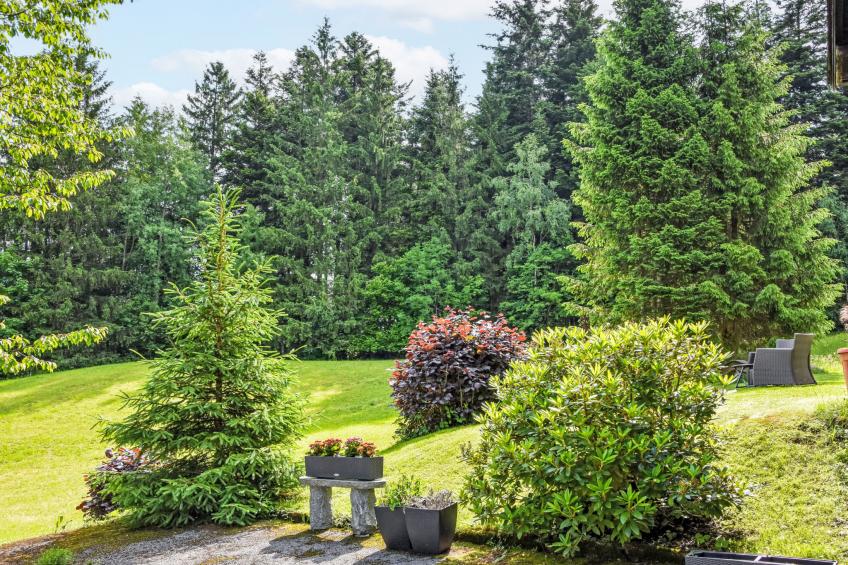 Studio Esche 3 - foto 31