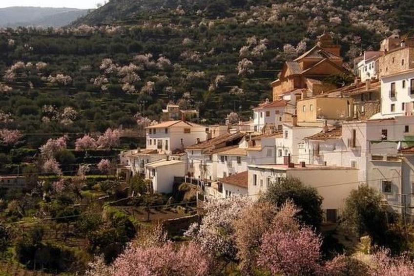 Tenguerengue - foto 12