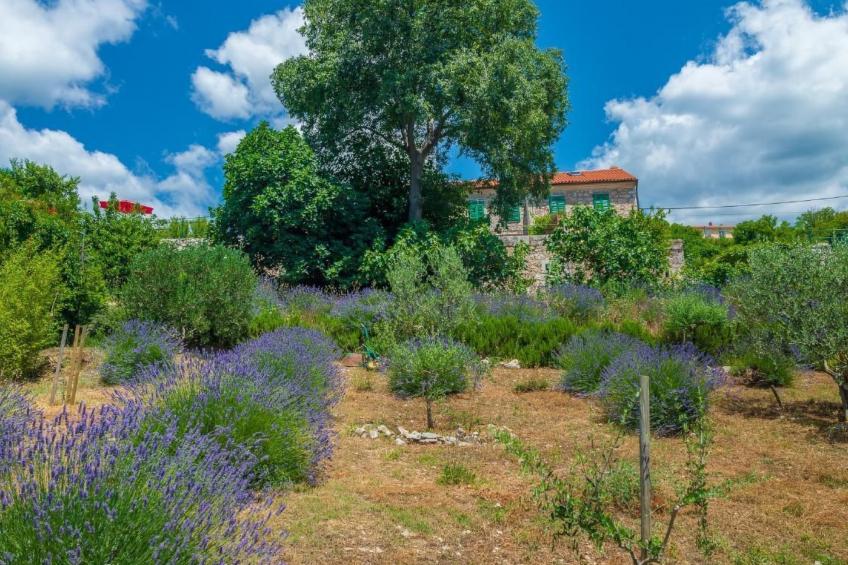 "Villa Ivanka" mit Blick auf das Wasser - foto 23