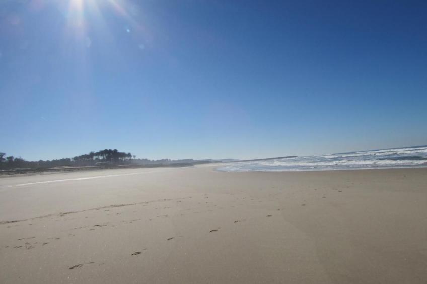 CASA  VERDE - foto 33