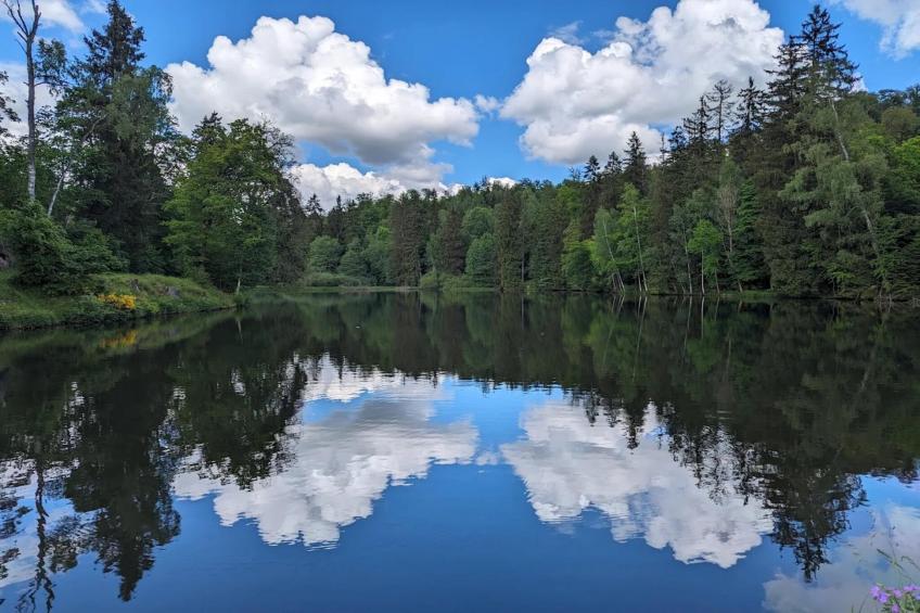 Vakantiehuis, Wieda - foto 30