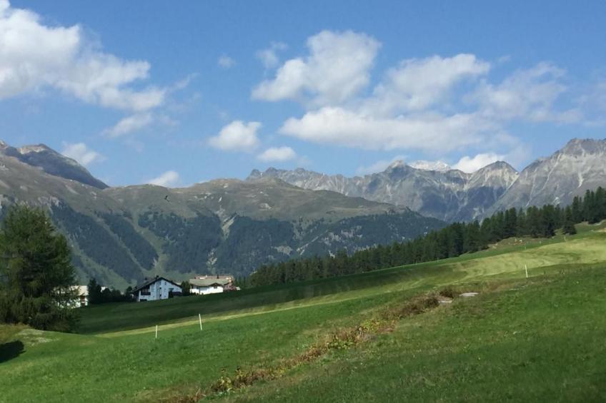 Chesa Pignola Studio - foto 6