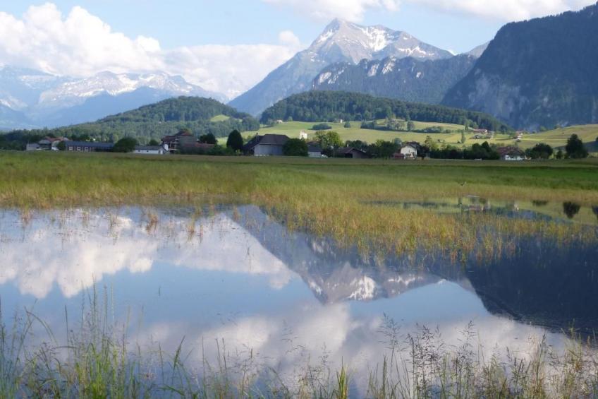 Stockhornblick - foto 22