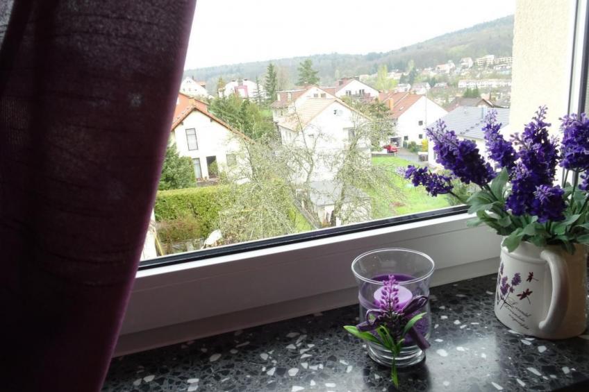 Haus Holzheimer mit Blick auf die Rhön - foto 6