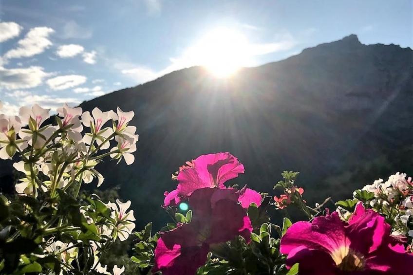 Chalet Abendstern - foto 3