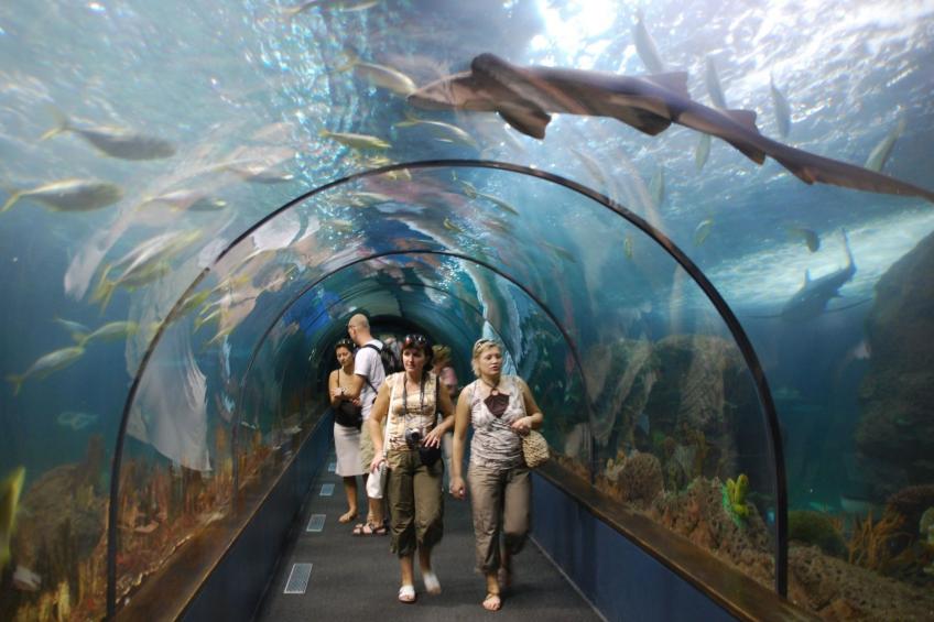 "Green Park 140 - foto 60