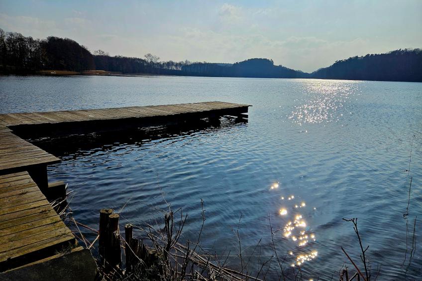 Dom z basenem dla 8 osób Kołczewo - foto 30