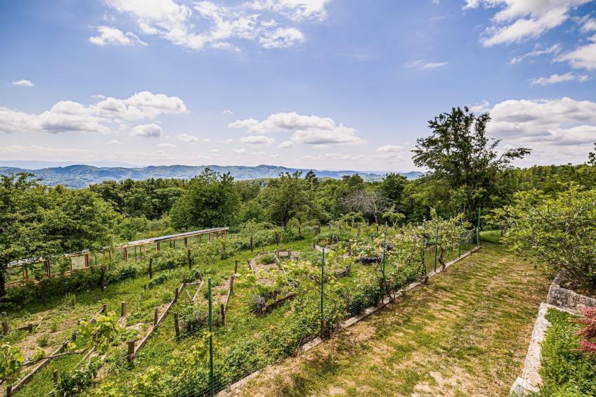 Hidden Authentic Haven Apartments - Two Bedroom Apartment with Balcony - foto 25