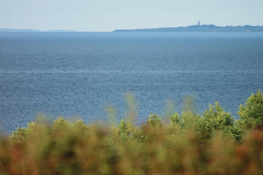 "Silka" - 250m from the sea in SE Jutland - foto 18