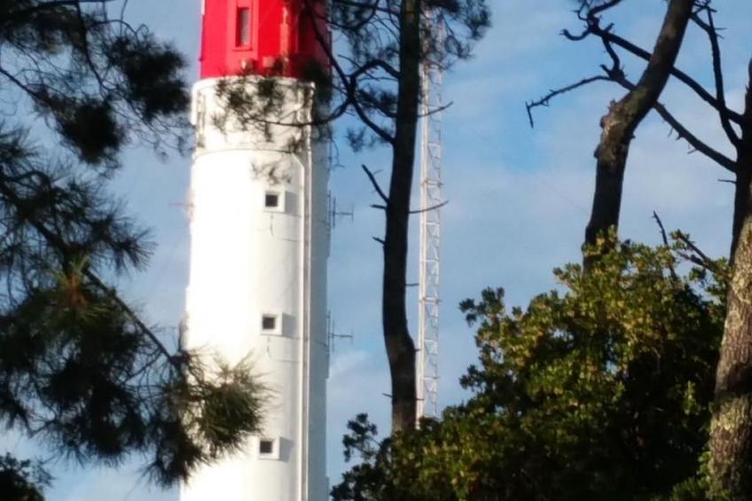 Gîte Timellen - Private Schwimmbäder - foto 24