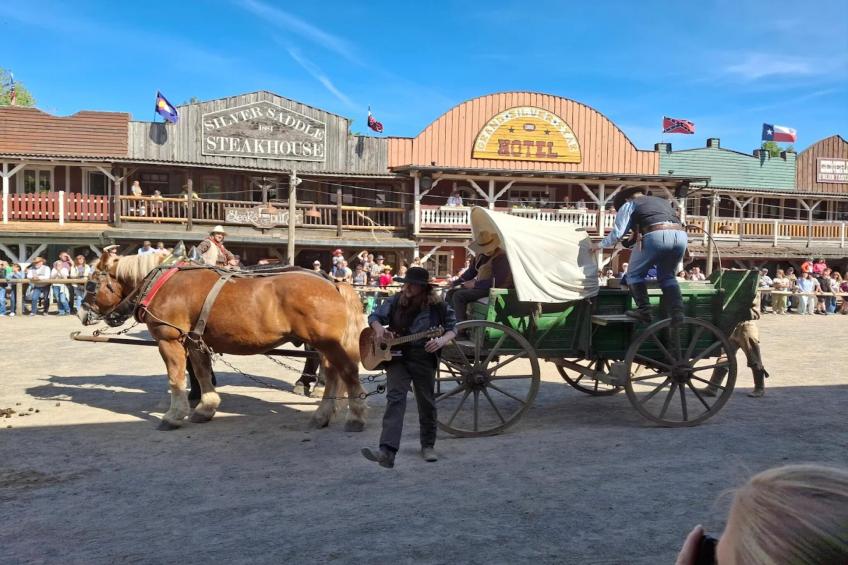 Ferienhaus in Hasselfelde - Haus 59 Blauvogel - foto 29