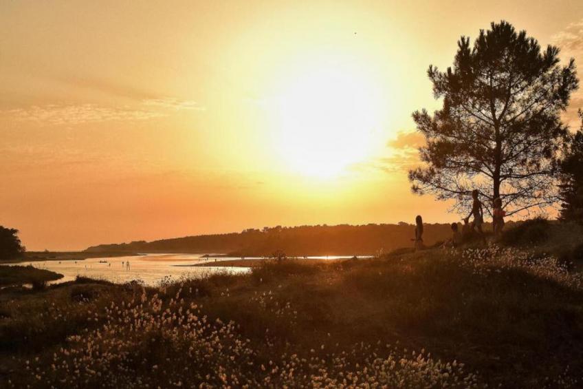 Maison de vacances - AVRILLÉ - foto 35