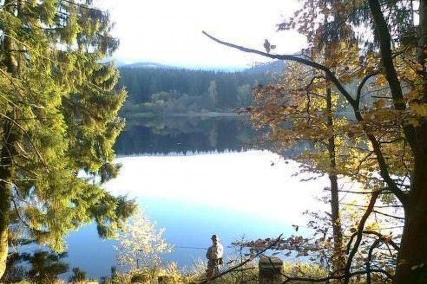 Altes Forsthaus - foto 18