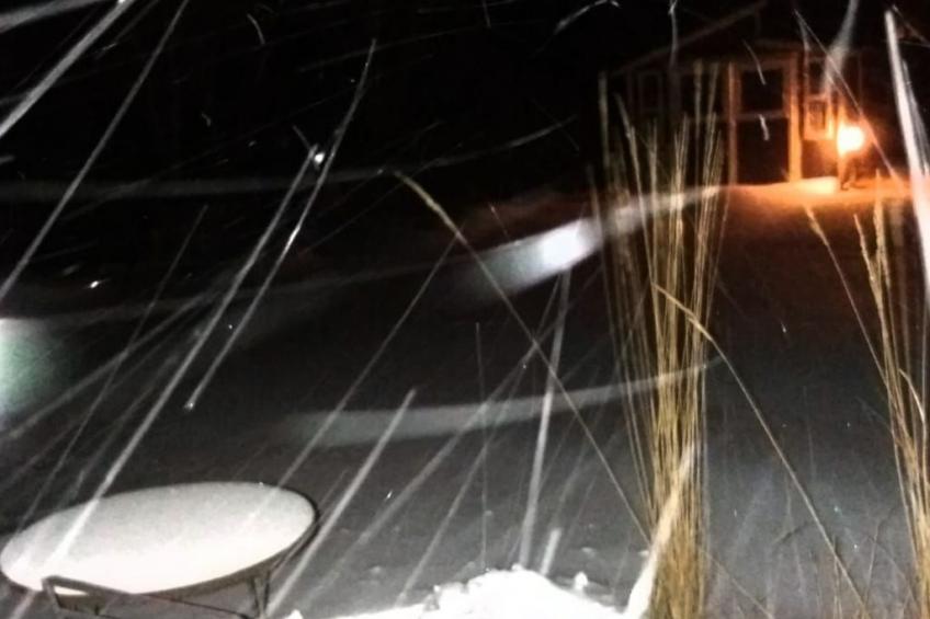 Pinto Béla - foto 27