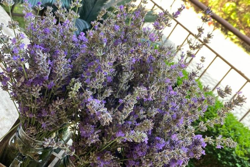 Wohnung in einer engen und ruhigen Anlage - foto 27