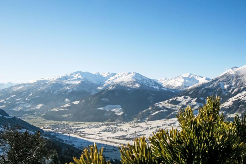 Unterflöber - foto 28